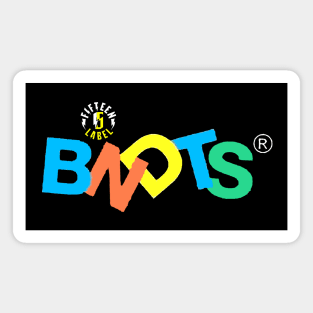 Fifteen Label Colorful BNDTS Magnet